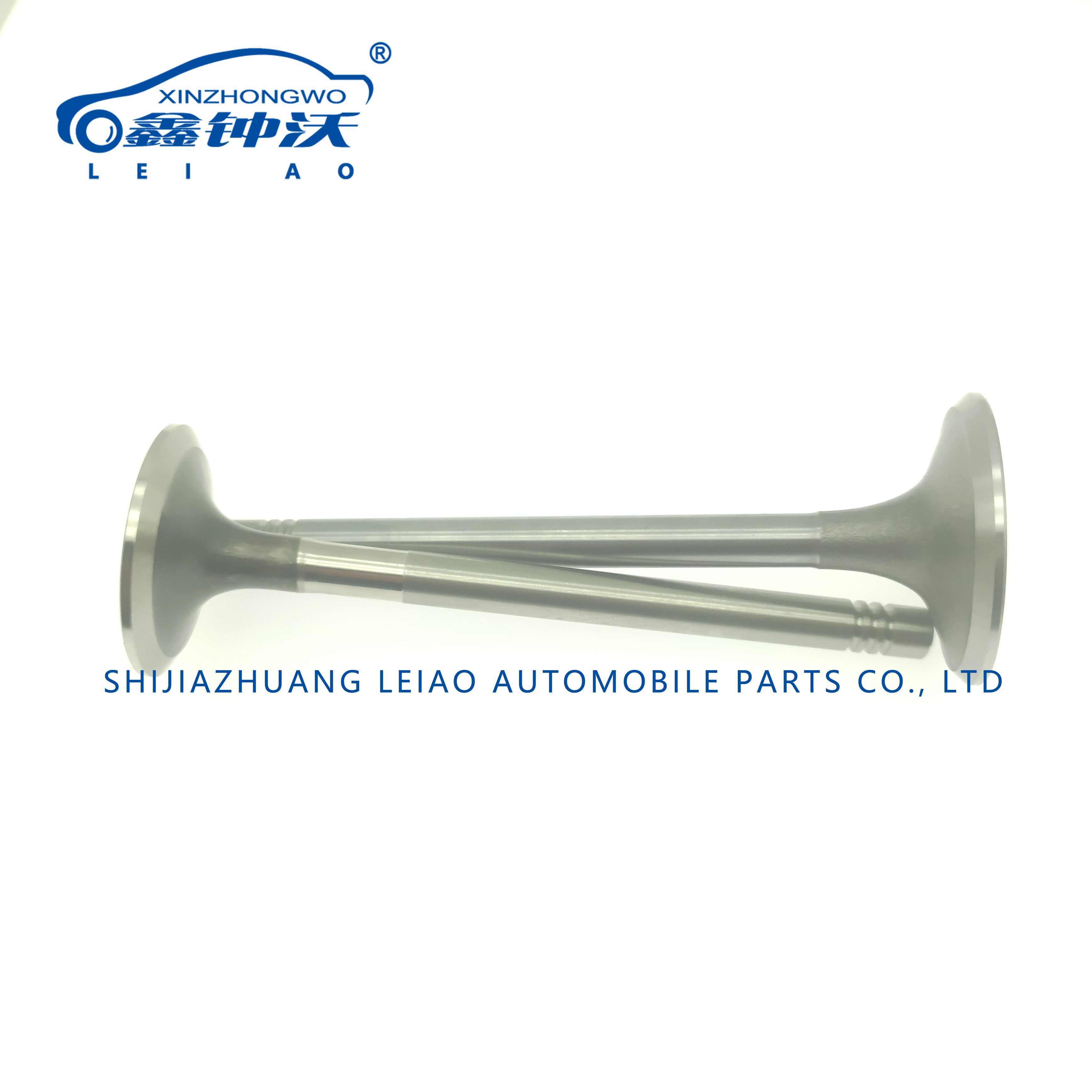 BMW N55B30 Engine Valve